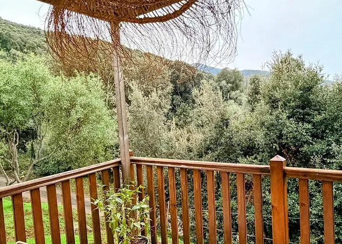 Apartment Roulotte Atypique - Vue - Ecrin De Nature *