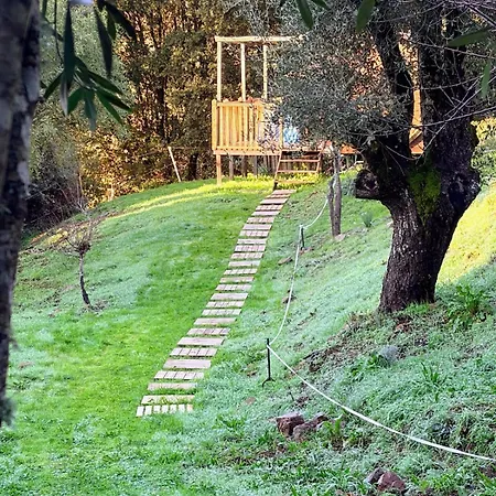 Appartement Roulotte Atypique - Vue - écrin De Nature Cauro